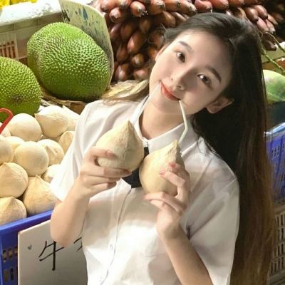 生存日记官方手游下载